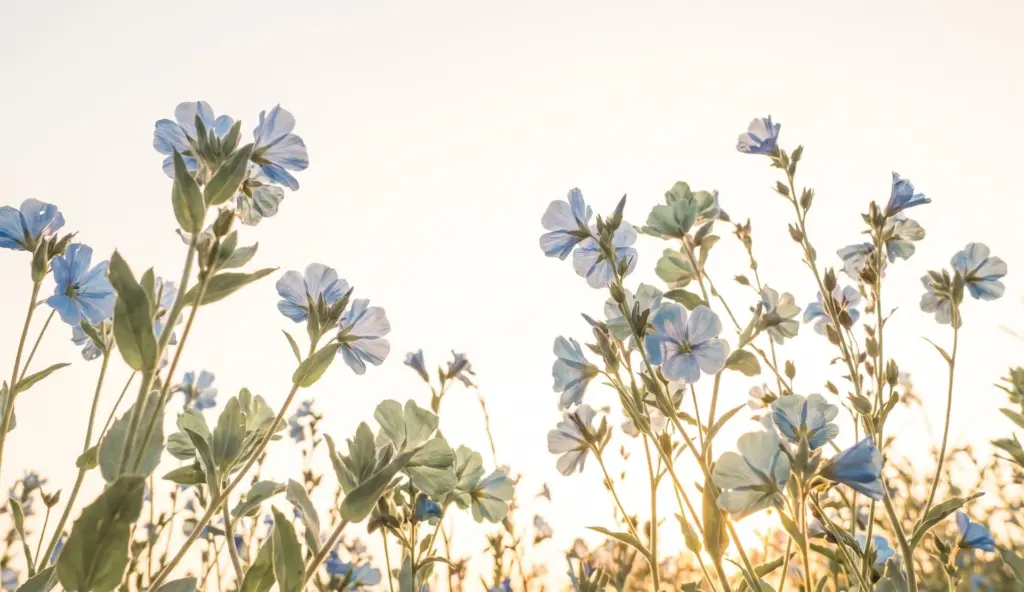 Blaue Wildblumen im Sonnenlicht, Symbolbild für die Kategorie Blog starten auf Reihenweise